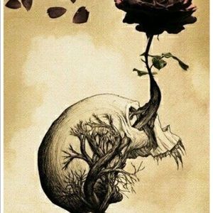 Meet your Posher, Mandy